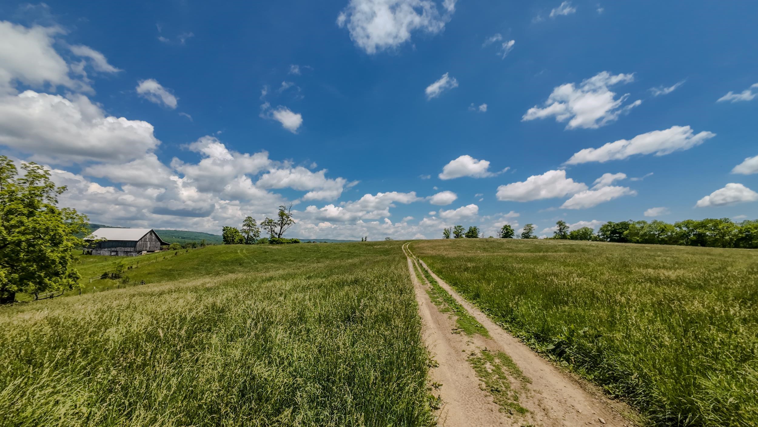 1801 Toms Creek Road Blacksburg VA 24060