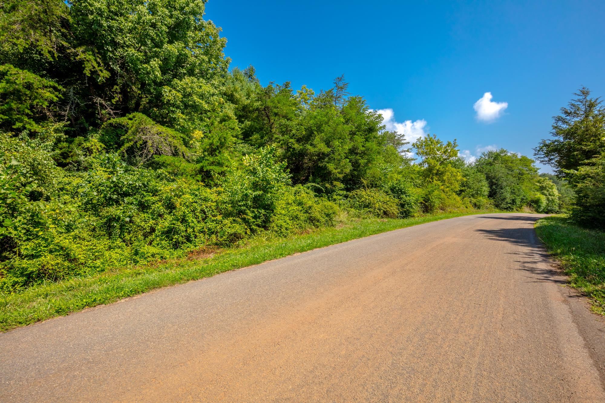 Lot 22 Lone Ash Road Barren Springs VA 24313