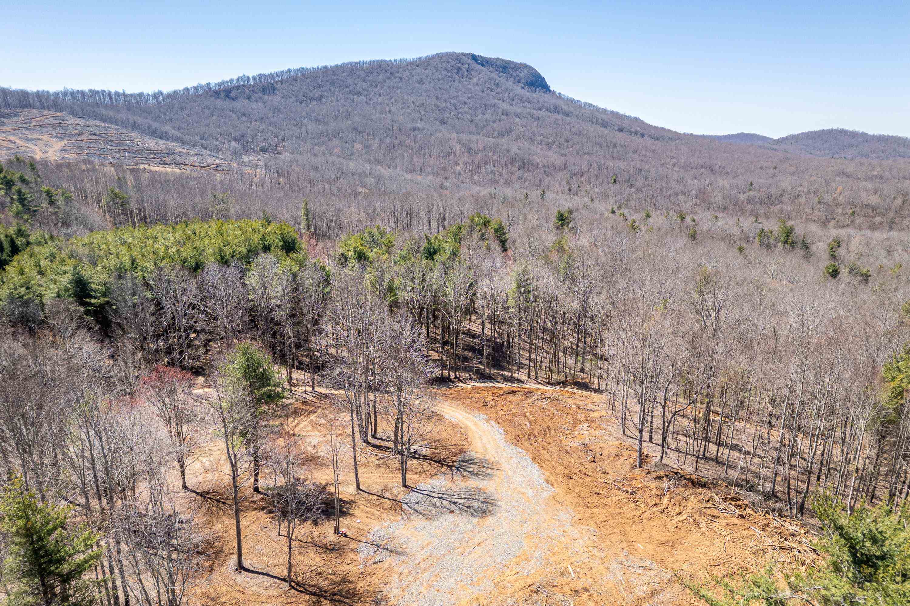 1029 Burks Hollow Road SW Willis VA 24380