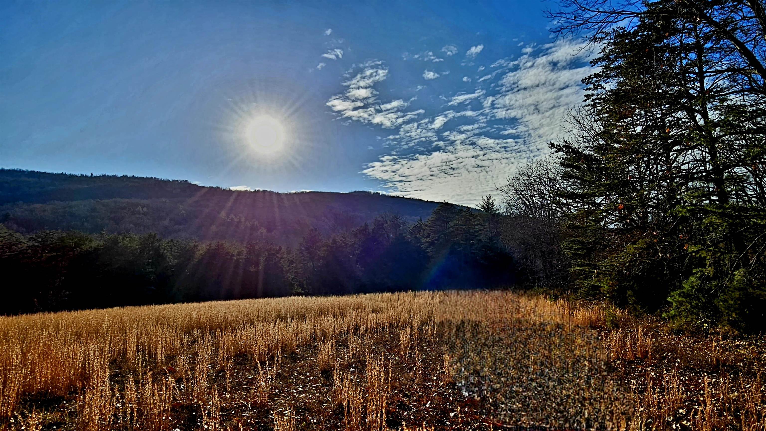 Tbd Reesedale Road Elliston VA 24087