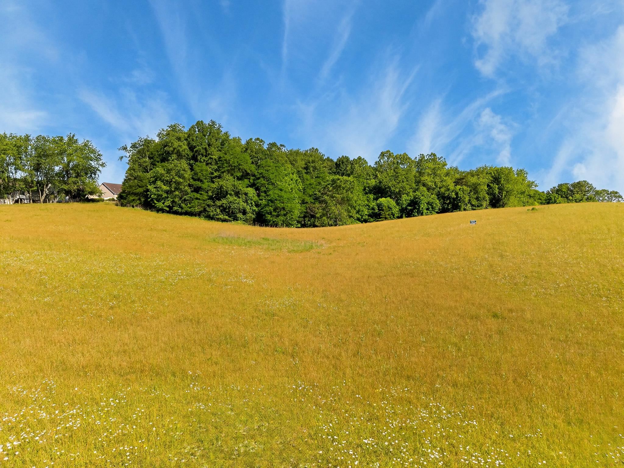 Tbd Beck Lot 1 Lane Pulaski VA 24301