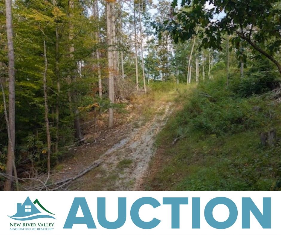 Lot 3 Twin Falls Road Copper Hill VA 24079