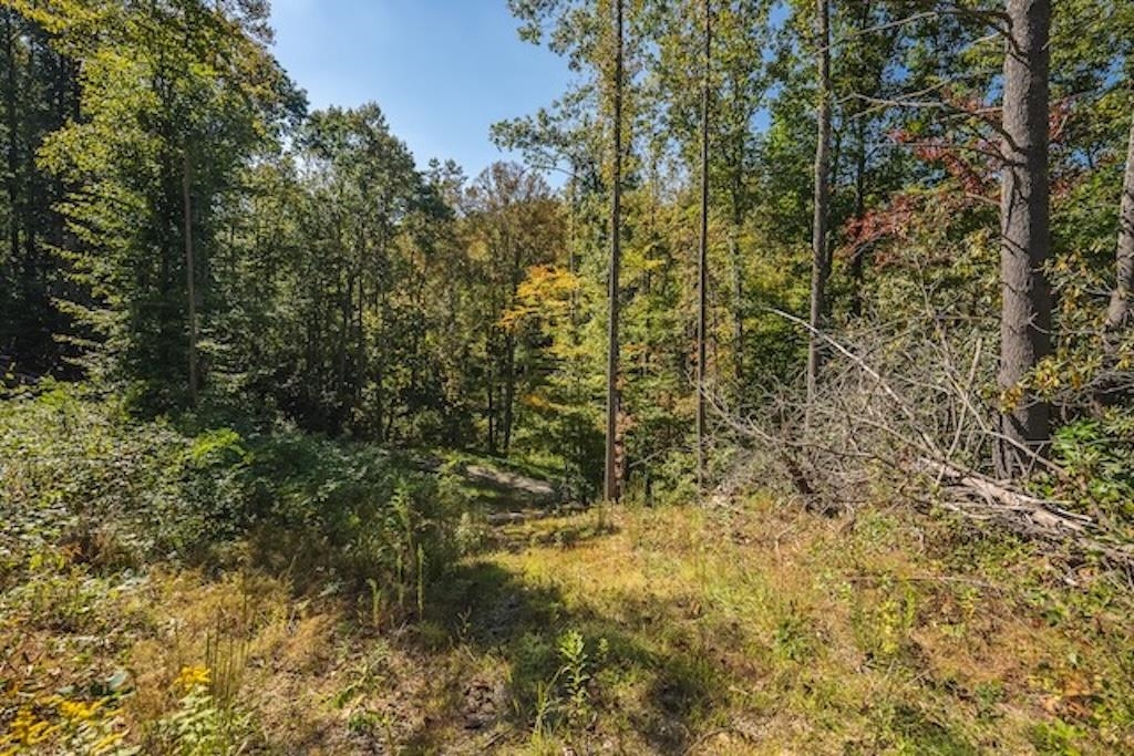 Lot 3 Twin Falls Road Copper Hill VA 24079