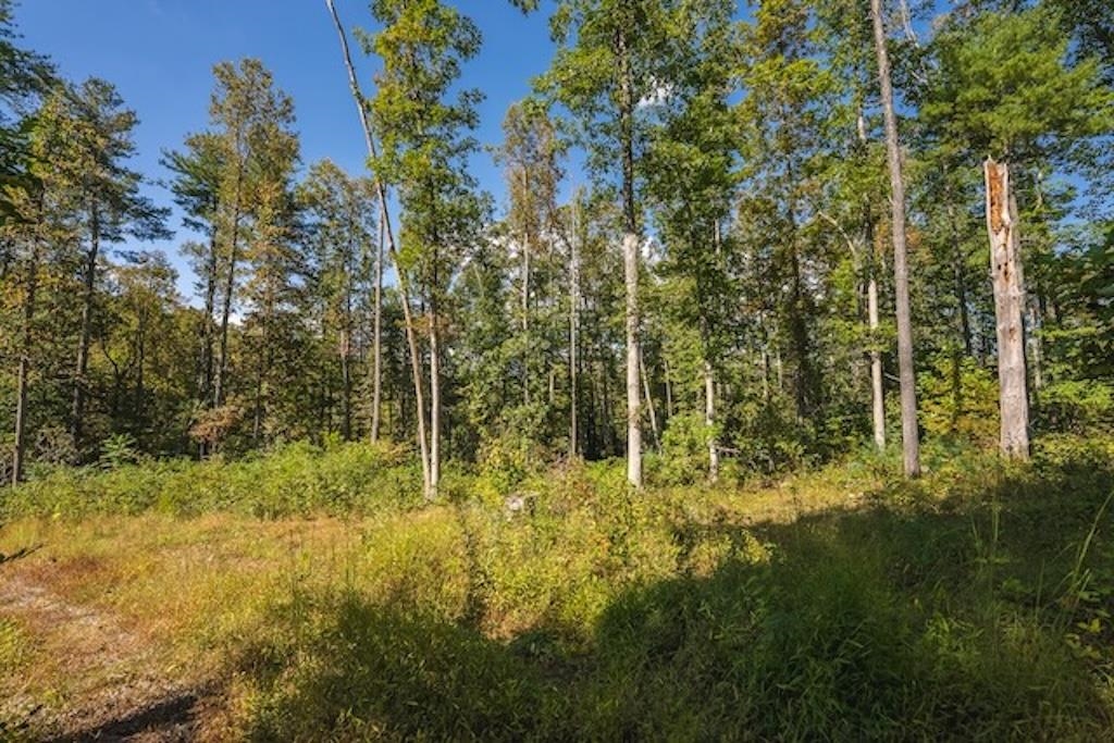 Lot 3 Twin Falls Road Copper Hill VA 24079