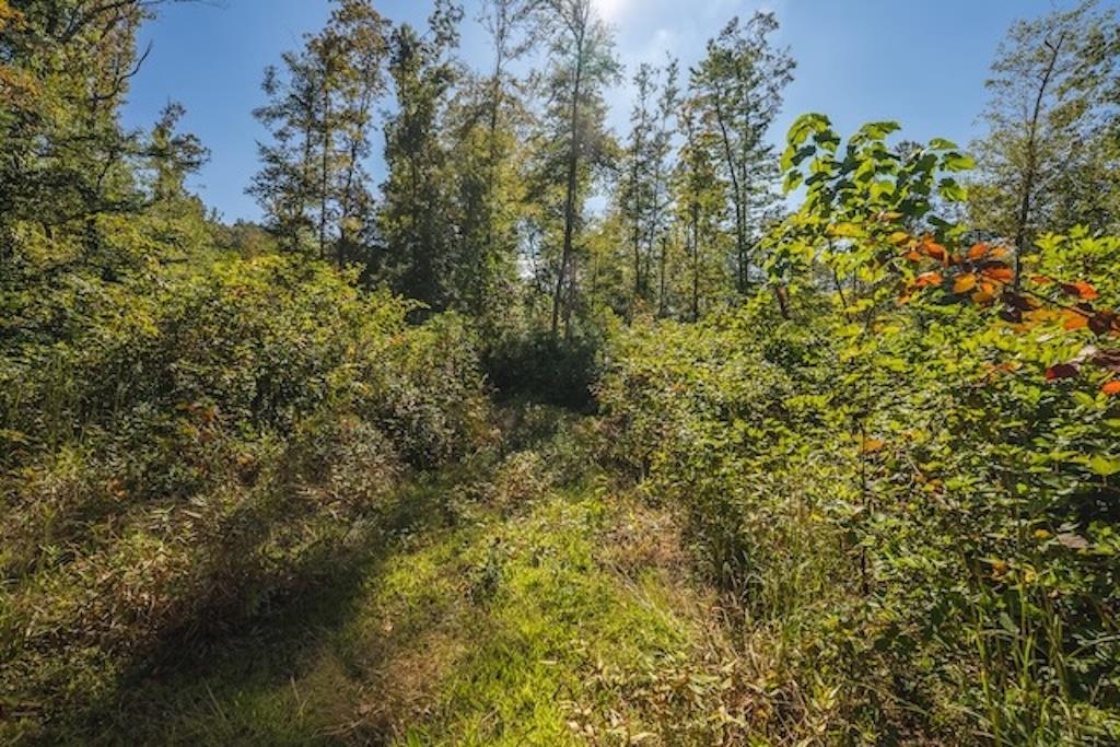 Lot 3 Twin Falls Road Copper Hill VA 24079