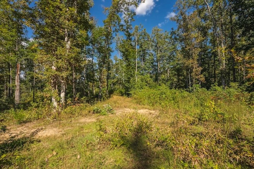 Lot 3 Twin Falls Road Copper Hill VA 24079