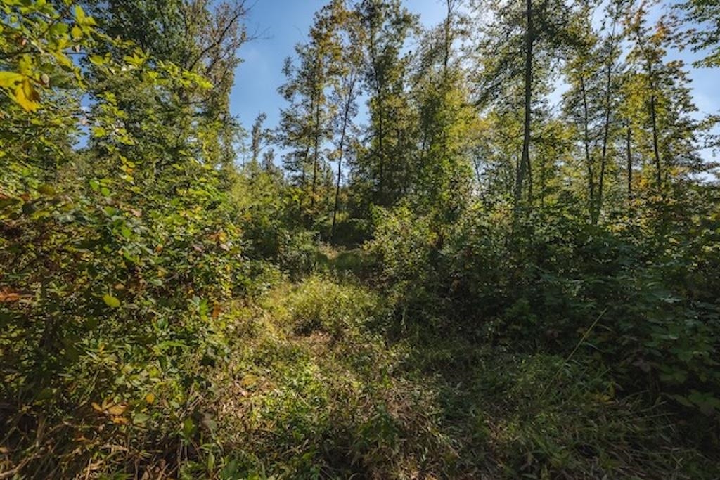 Lot 3 Twin Falls Road Copper Hill VA 24079