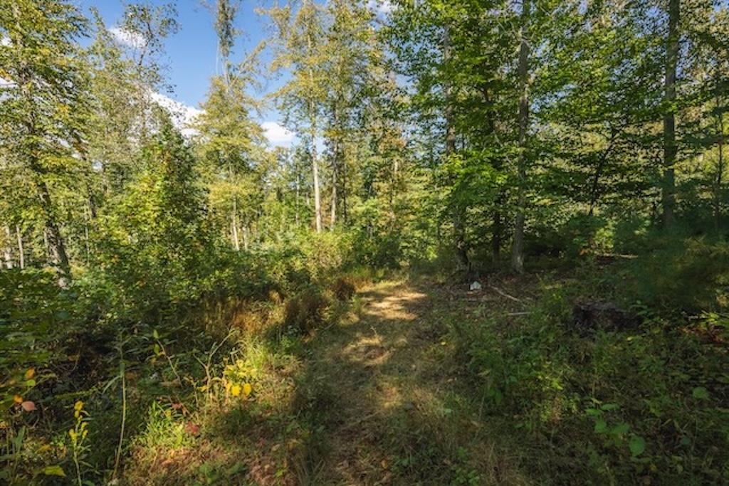 Lot 3 Twin Falls Road Copper Hill VA 24079