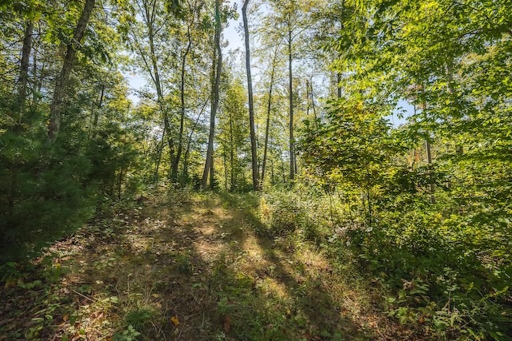 Lot 3 Twin Falls Road Copper Hill VA 24079