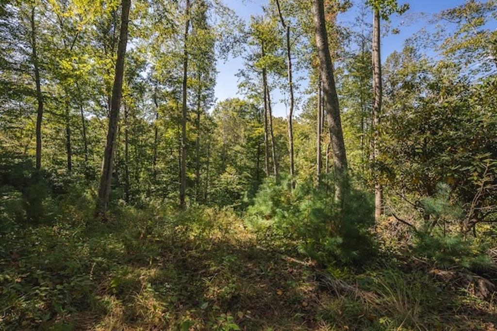 Lot 3 Twin Falls Road Copper Hill VA 24079