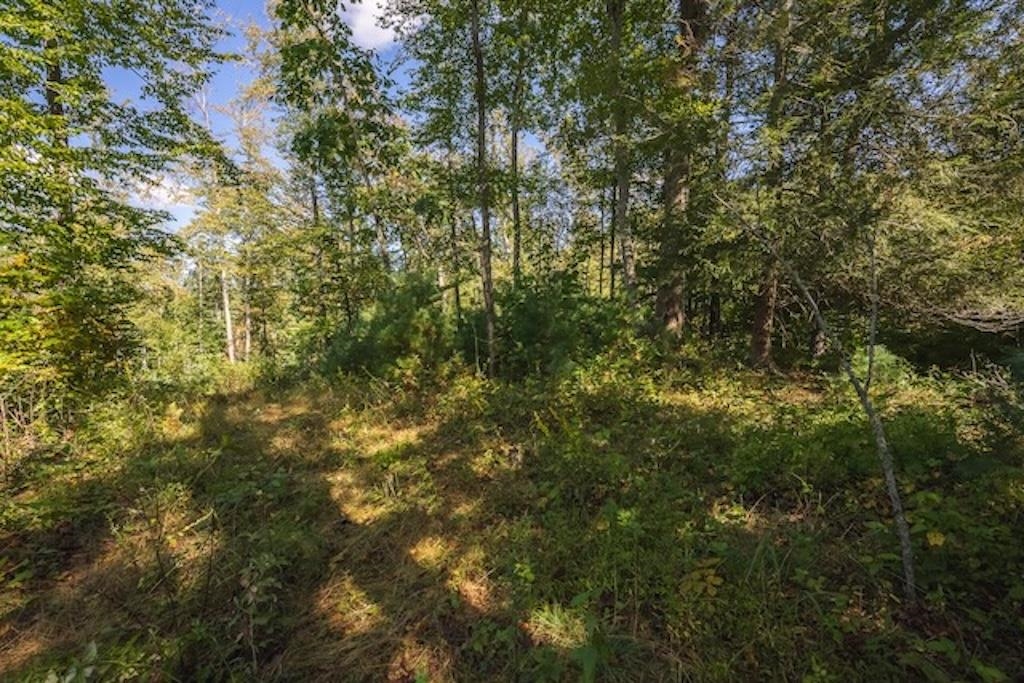 Lot 3 Twin Falls Road Copper Hill VA 24079