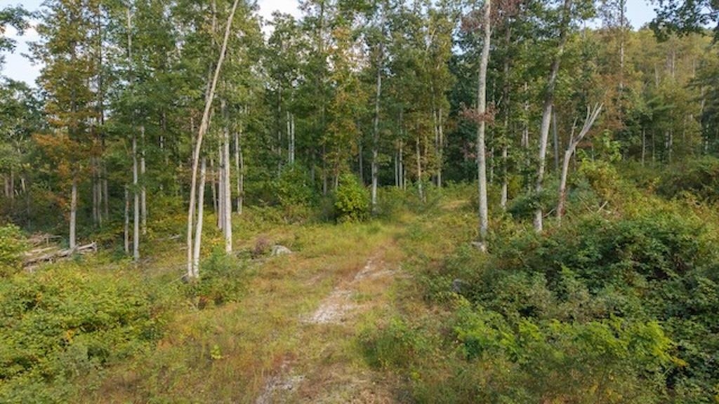 Lot 3 Twin Falls Road Copper Hill VA 24079