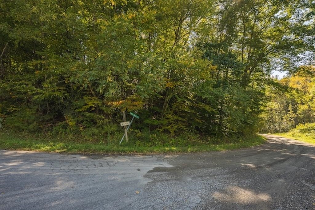 Lot 3 Twin Falls Road Copper Hill VA 24079