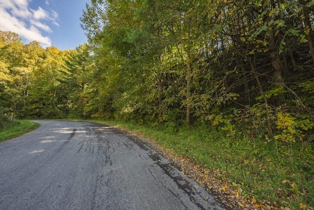 Lot 3 Twin Falls Road Copper Hill VA 24079