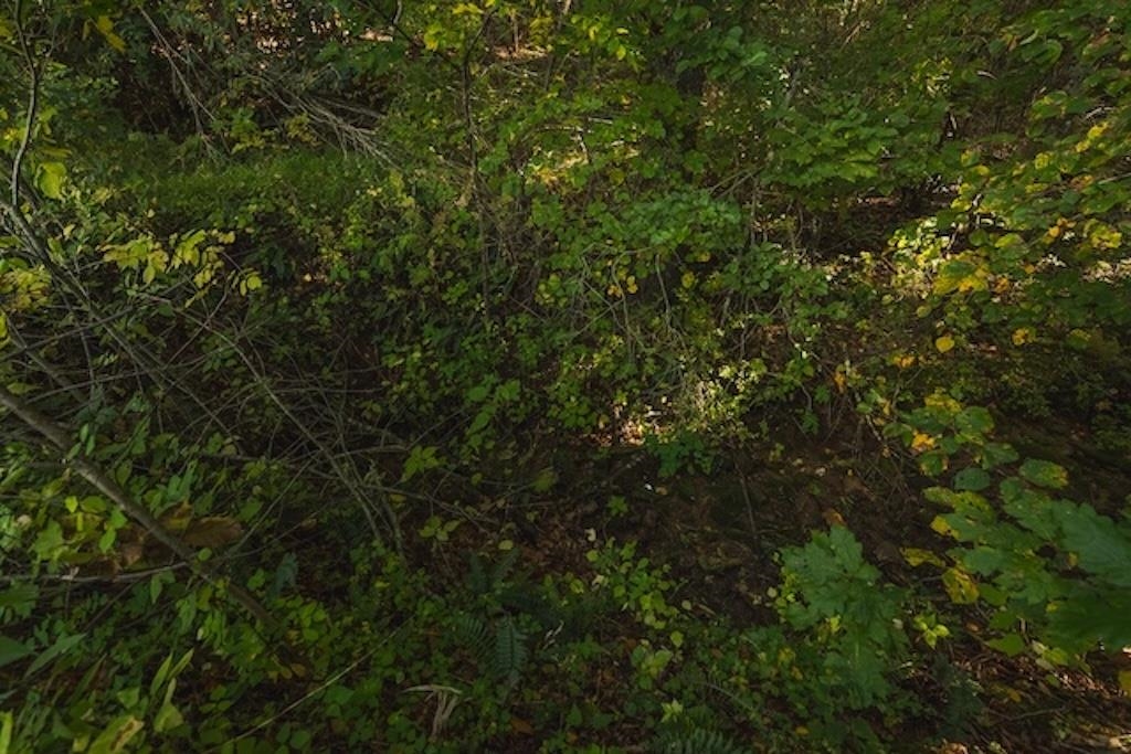 Lot 3 Twin Falls Road Copper Hill VA 24079