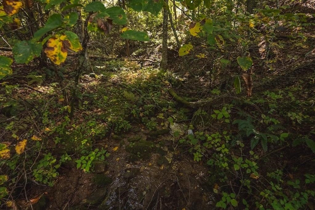 Lot 3 Twin Falls Road Copper Hill VA 24079