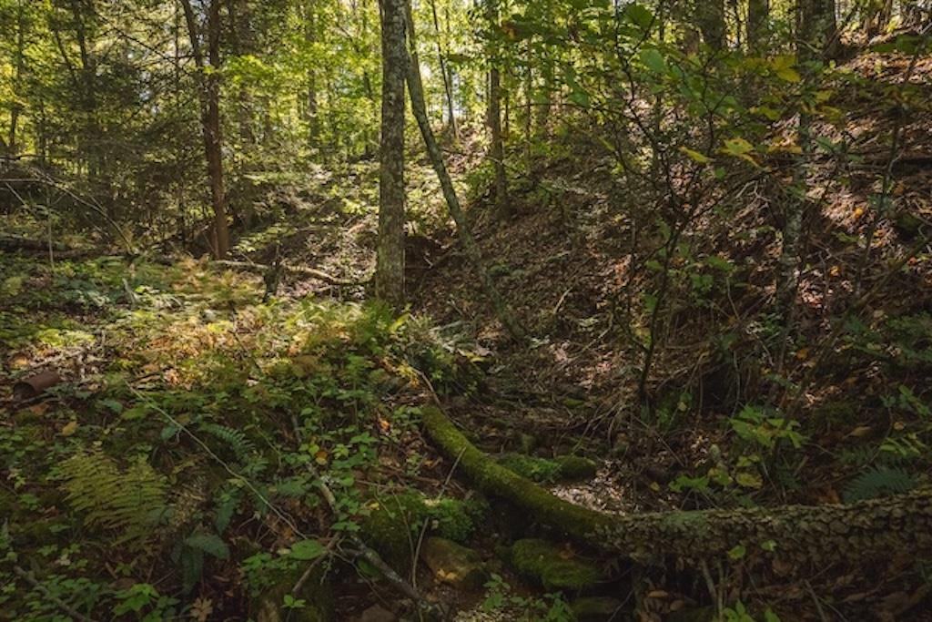 Lot 3 Twin Falls Road Copper Hill VA 24079