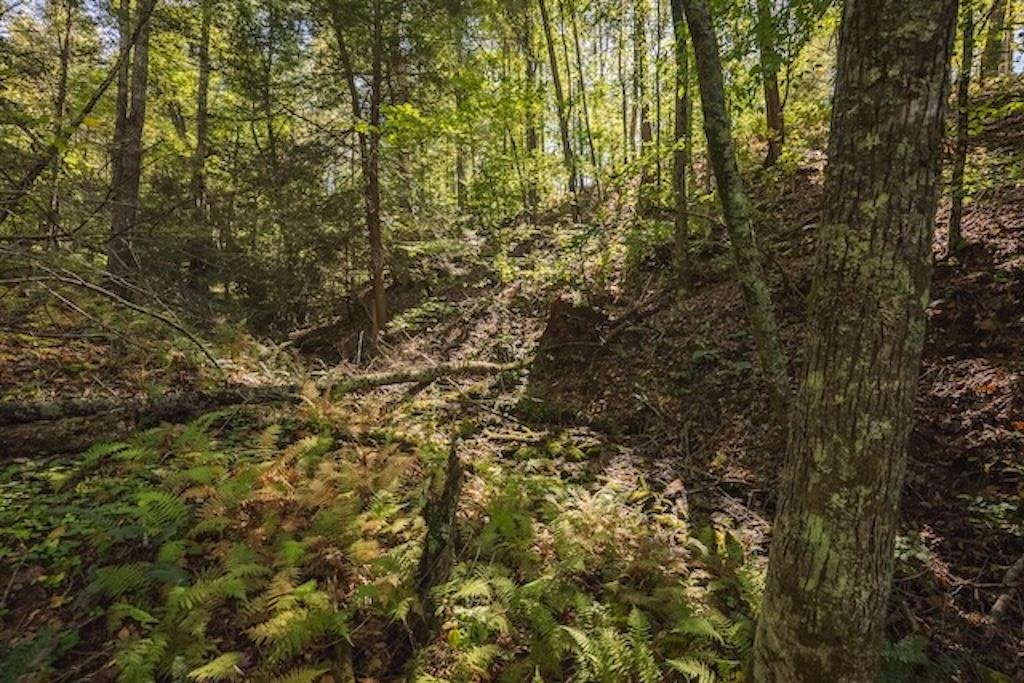 Lot 3 Twin Falls Road Copper Hill VA 24079