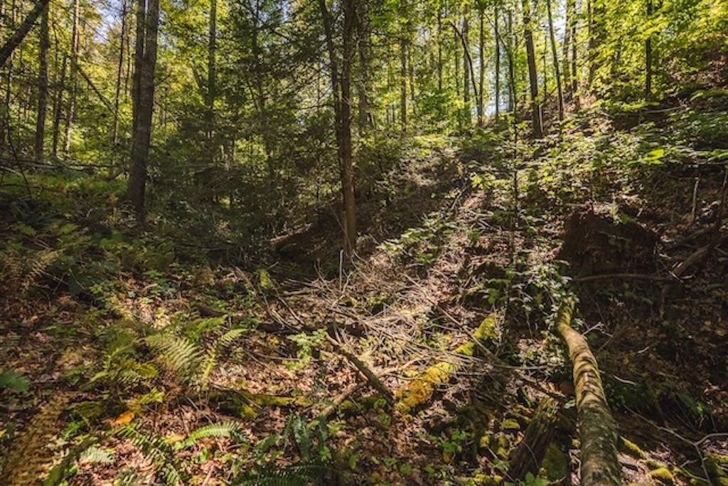 Lot 3 Twin Falls Road Copper Hill VA 24079