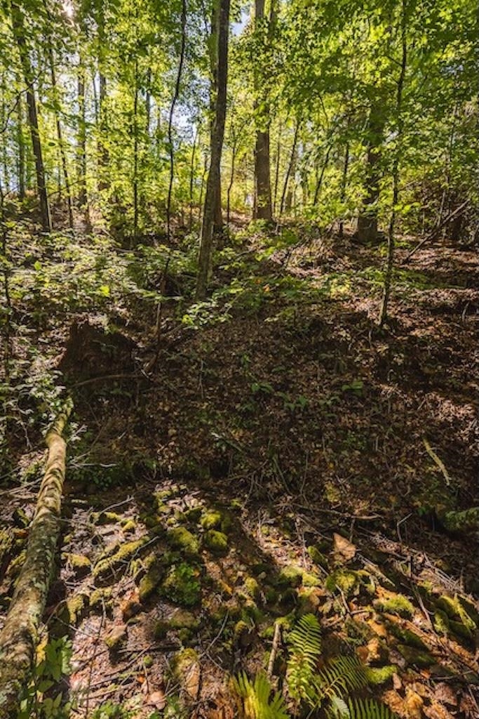 Lot 3 Twin Falls Road Copper Hill VA 24079