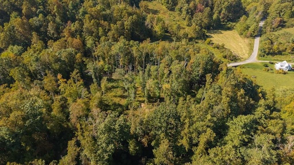 Lot 3 Twin Falls Road Copper Hill VA 24079