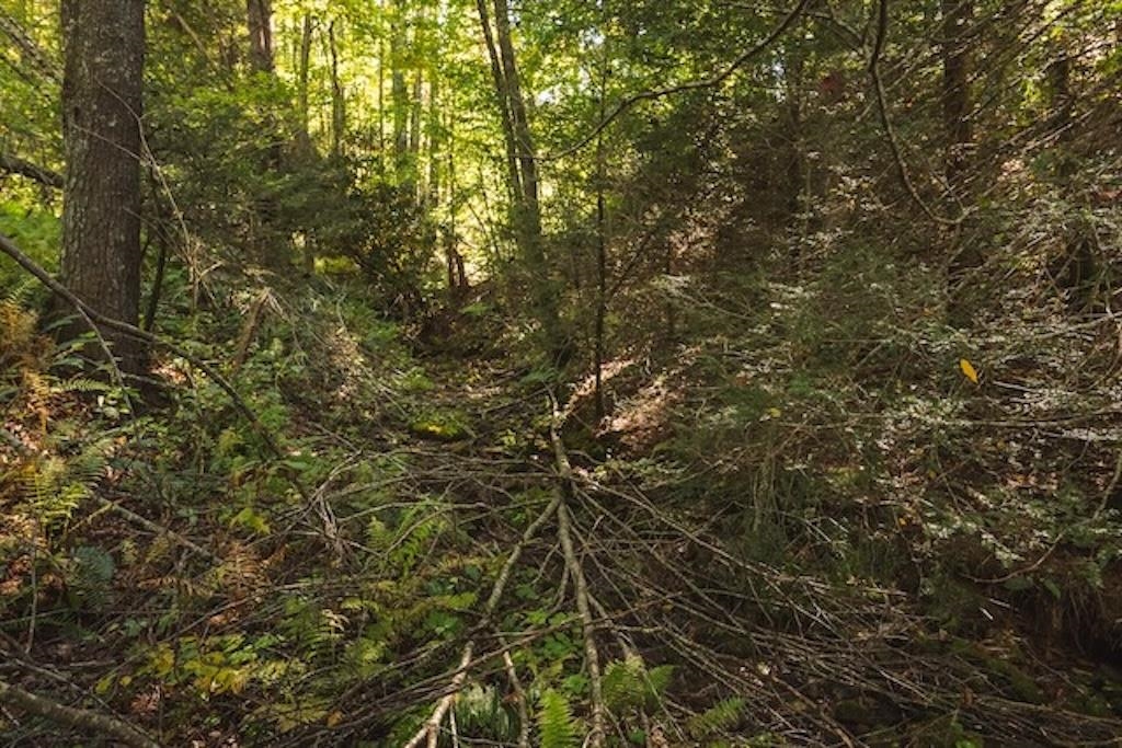 Lot 3 Twin Falls Road Copper Hill VA 24079