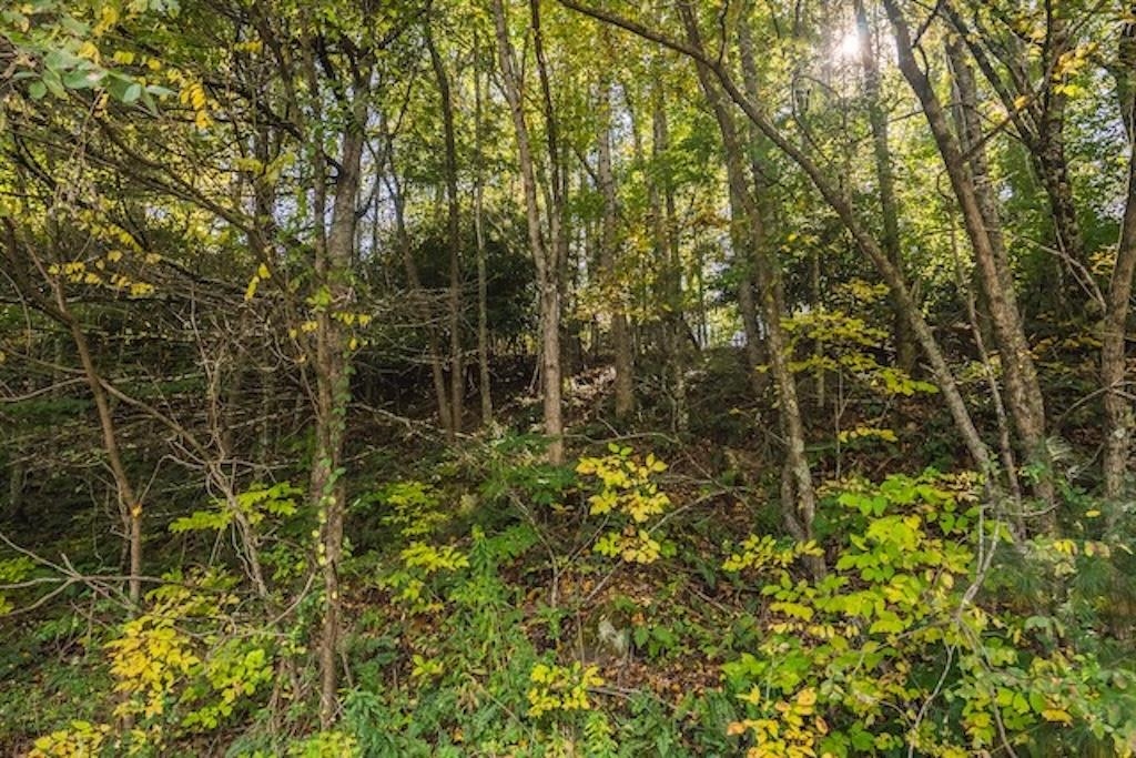 Lot 3 Twin Falls Road Copper Hill VA 24079