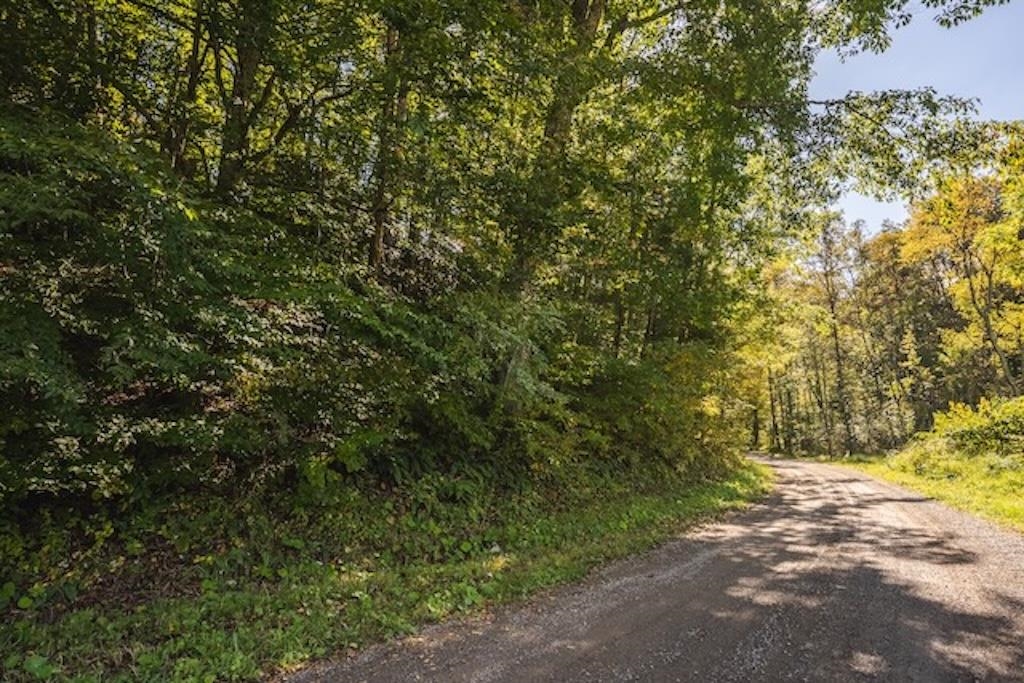 Lot 3 Twin Falls Road Copper Hill VA 24079