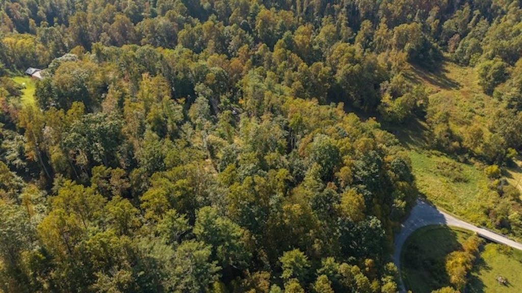 Lot 3 Twin Falls Road Copper Hill VA 24079