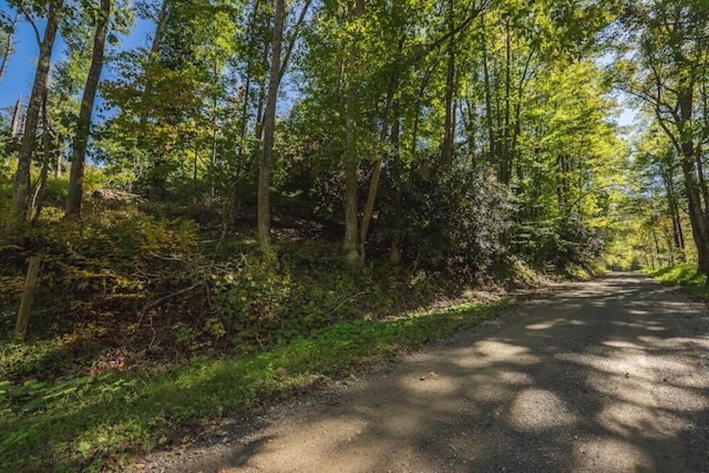 Lot 3 Twin Falls Road Copper Hill VA 24079