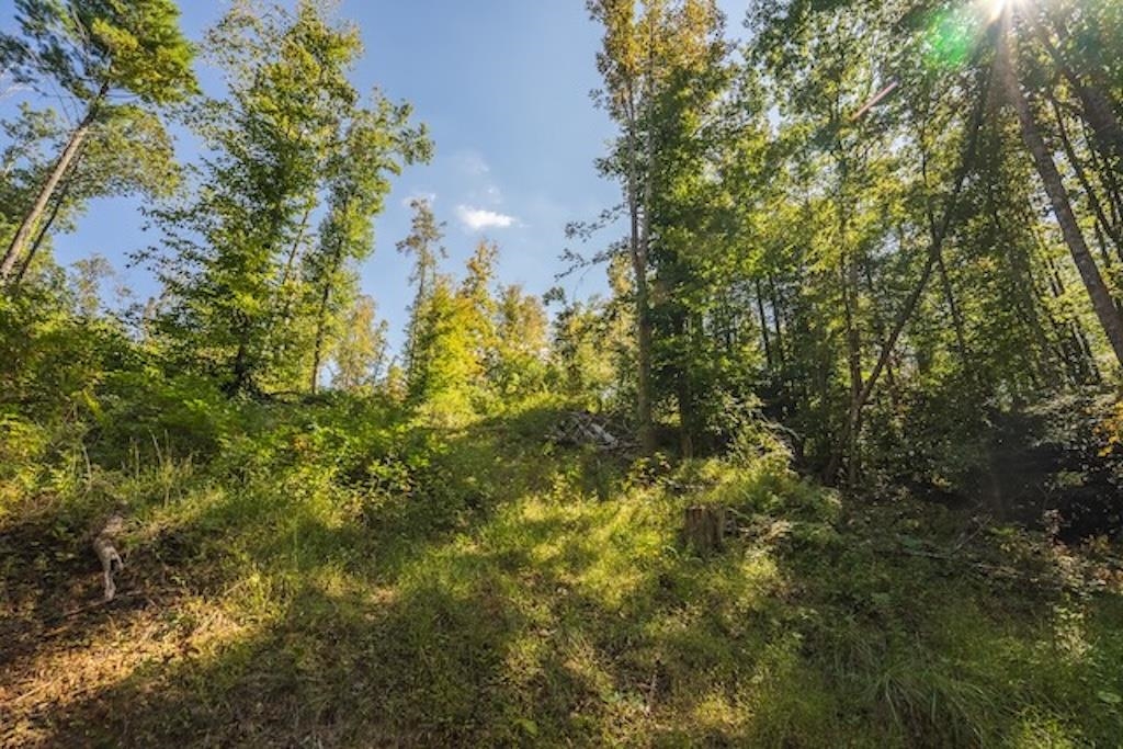 Lot 3 Twin Falls Road Copper Hill VA 24079