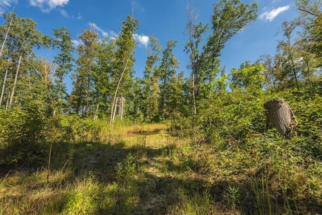 Lot 3 Twin Falls Road Copper Hill VA 24079