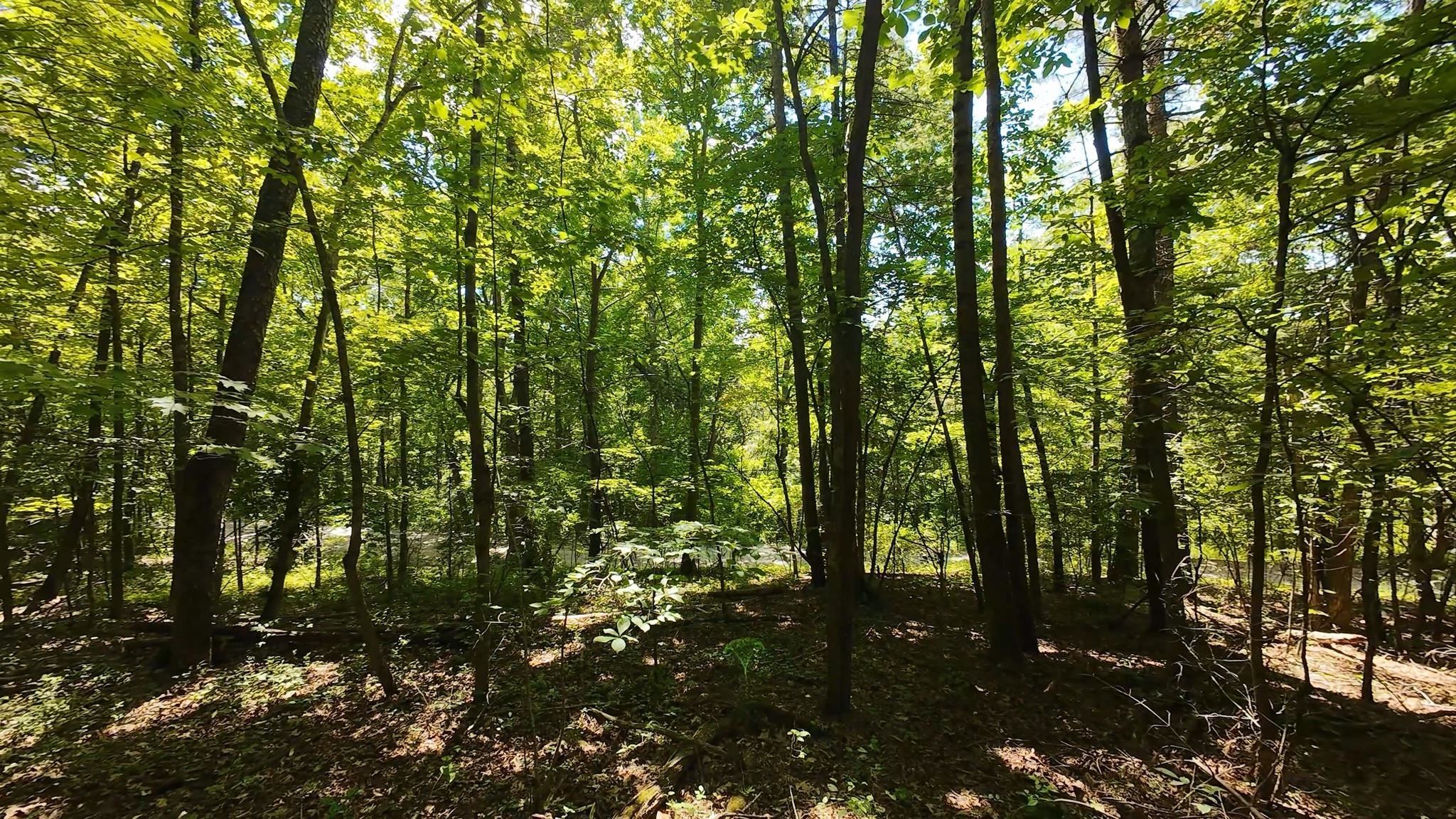 Tbd Broad Shoals Road Riner VA 24149