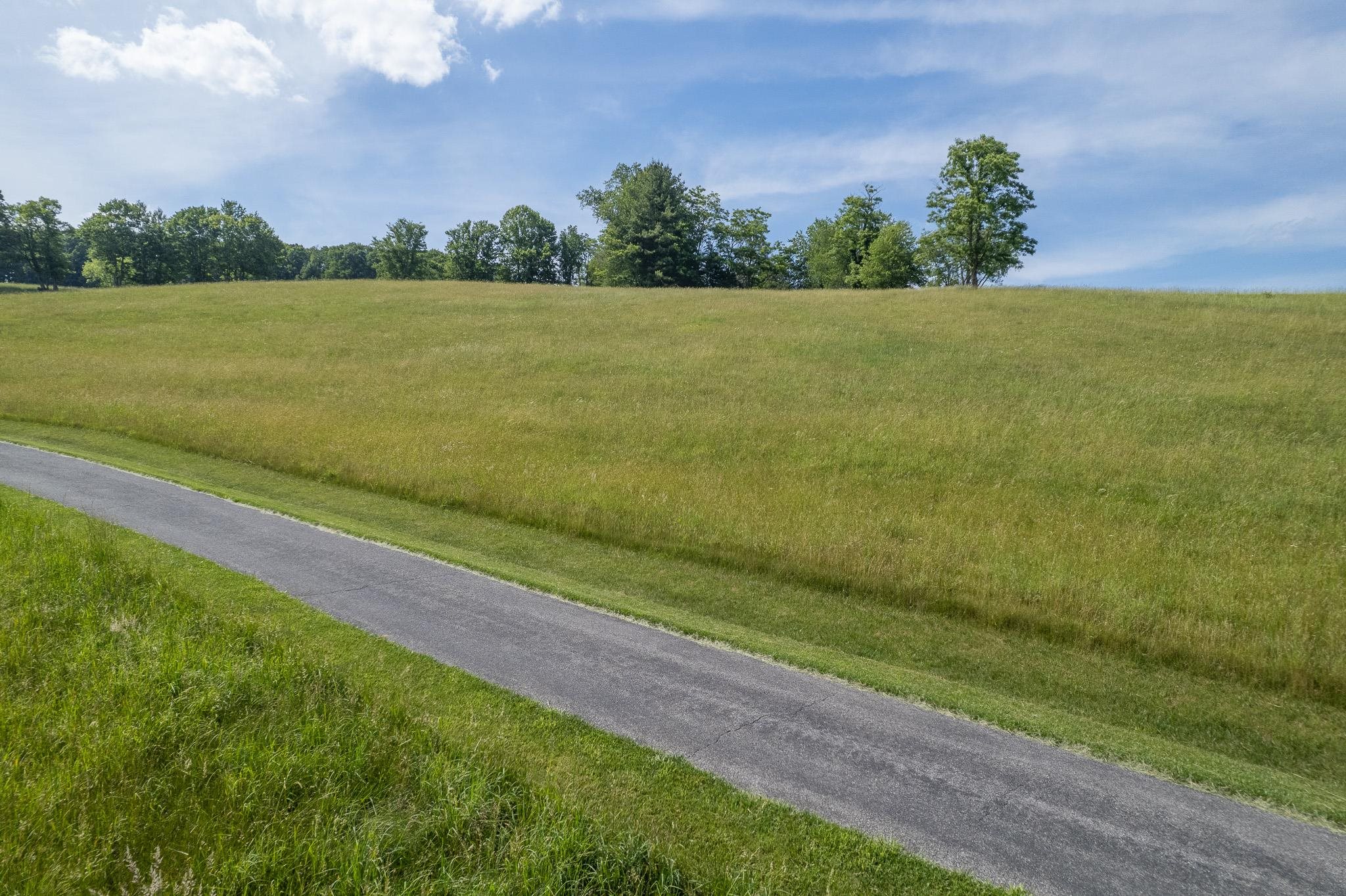 Tbd Monarch Lane Wytheville VA 24382
