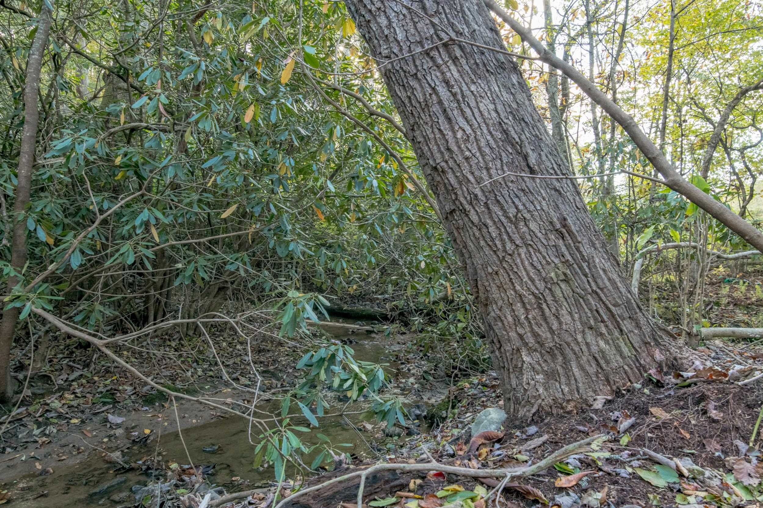 8660 Snake Creek Road Hillsville VA 24343