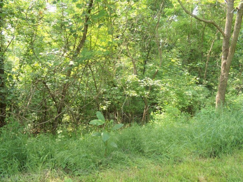 Lots 64 And 65 Horseshoe Farm Road Pembroke VA 24136