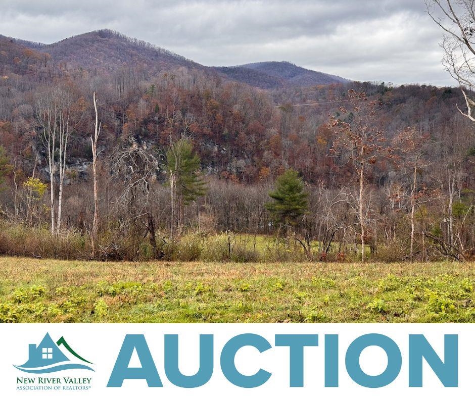 Lot 2 Curve Road Pearisburg VA 24134
