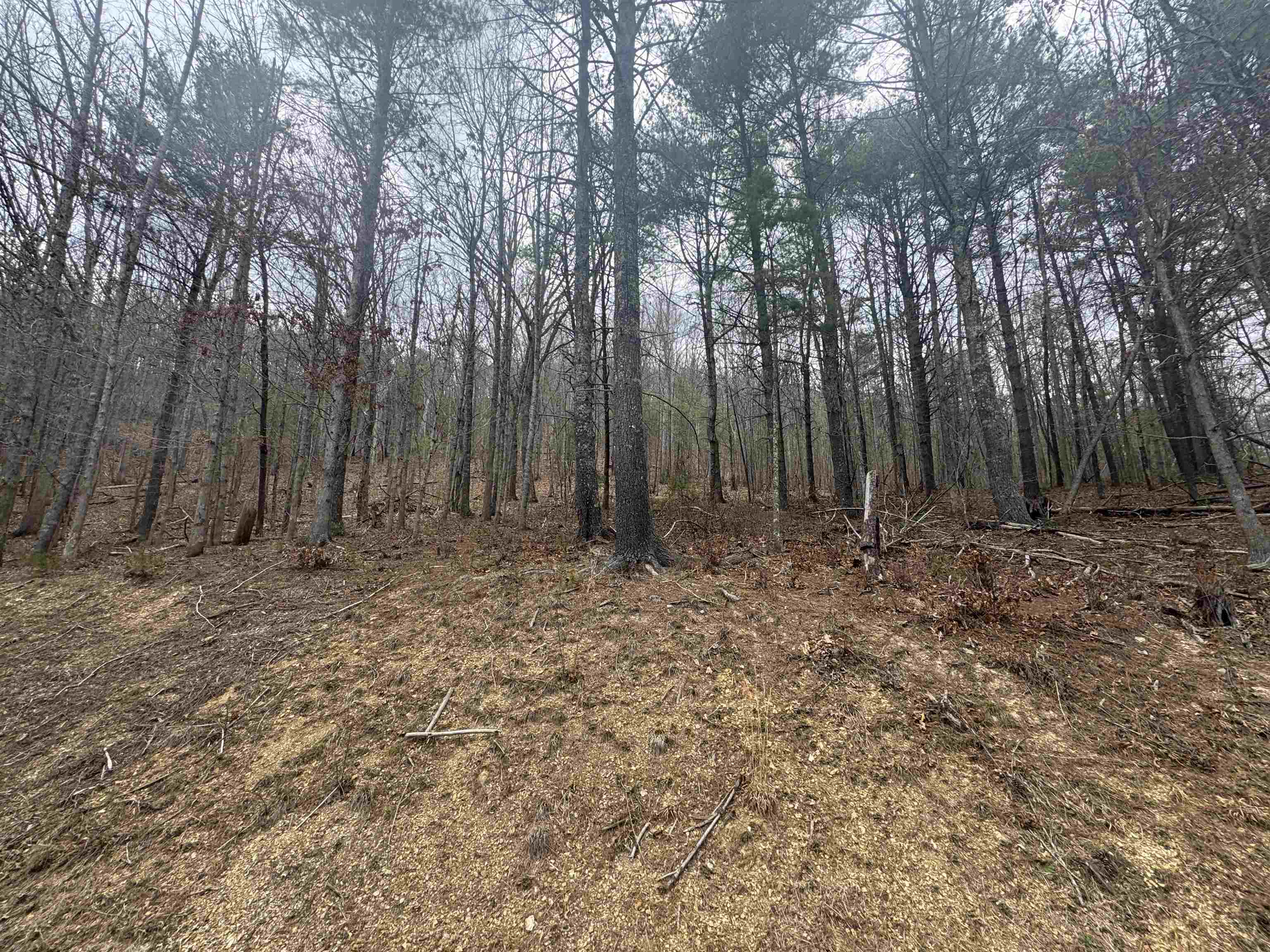 Tbd River Oaks Drive Austinville VA 24312