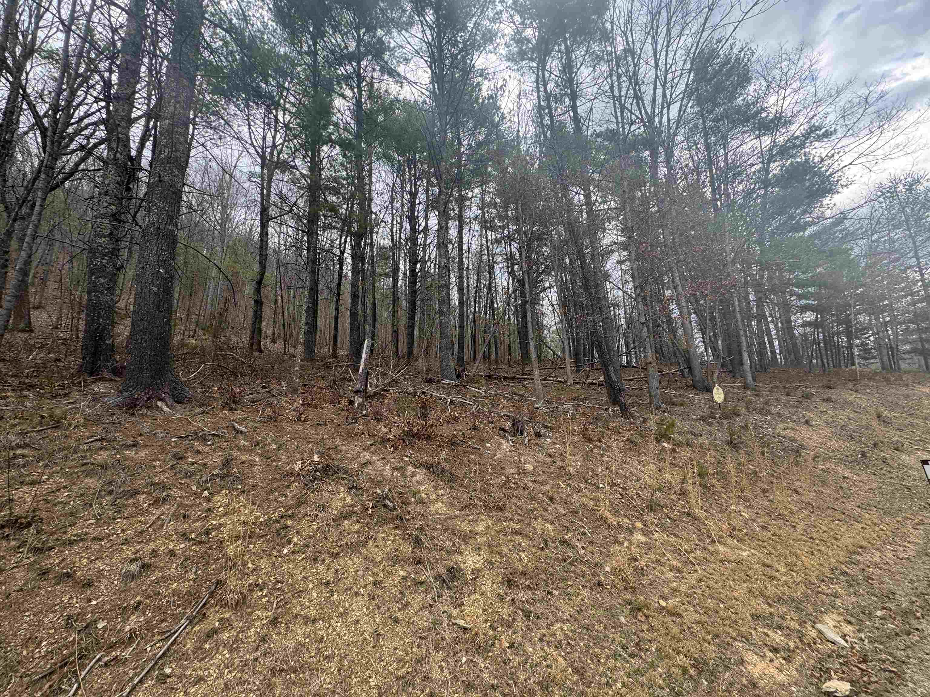 Tbd River Oaks Drive Austinville VA 24312