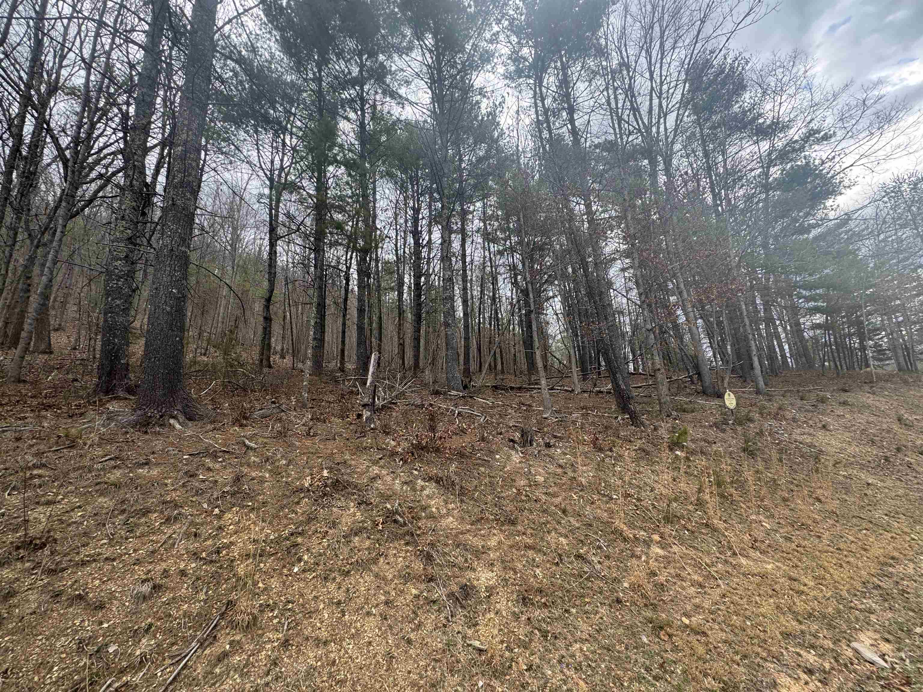 Tbd River Oaks Drive Austinville VA 24312