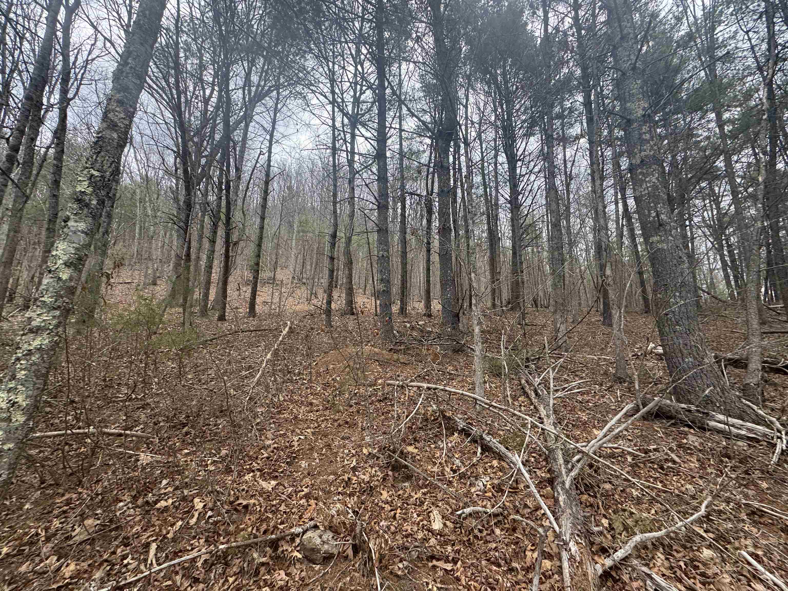 Tbd River Oaks Drive Austinville VA 24312