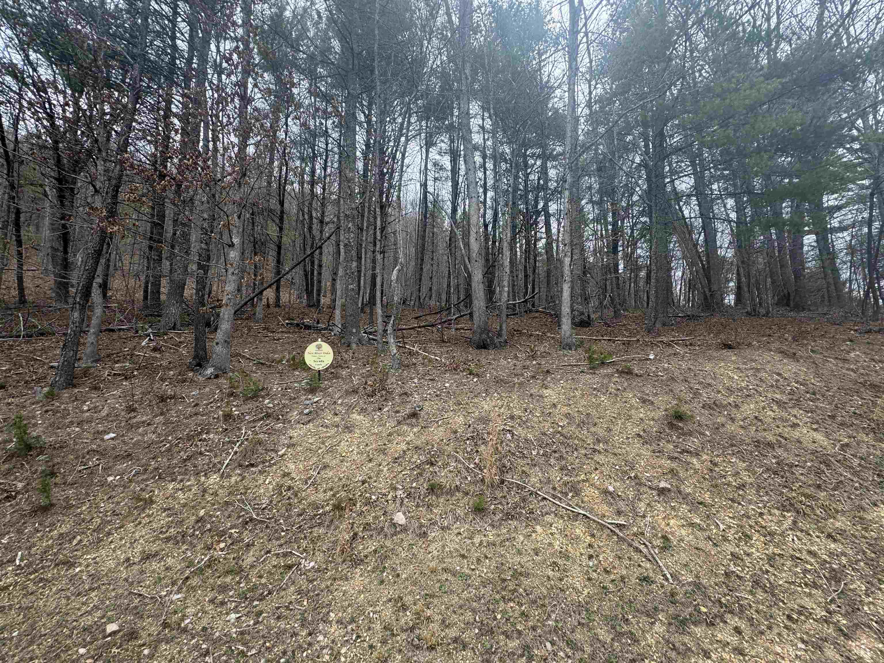 Tbd River Oaks Drive Austinville VA 24312