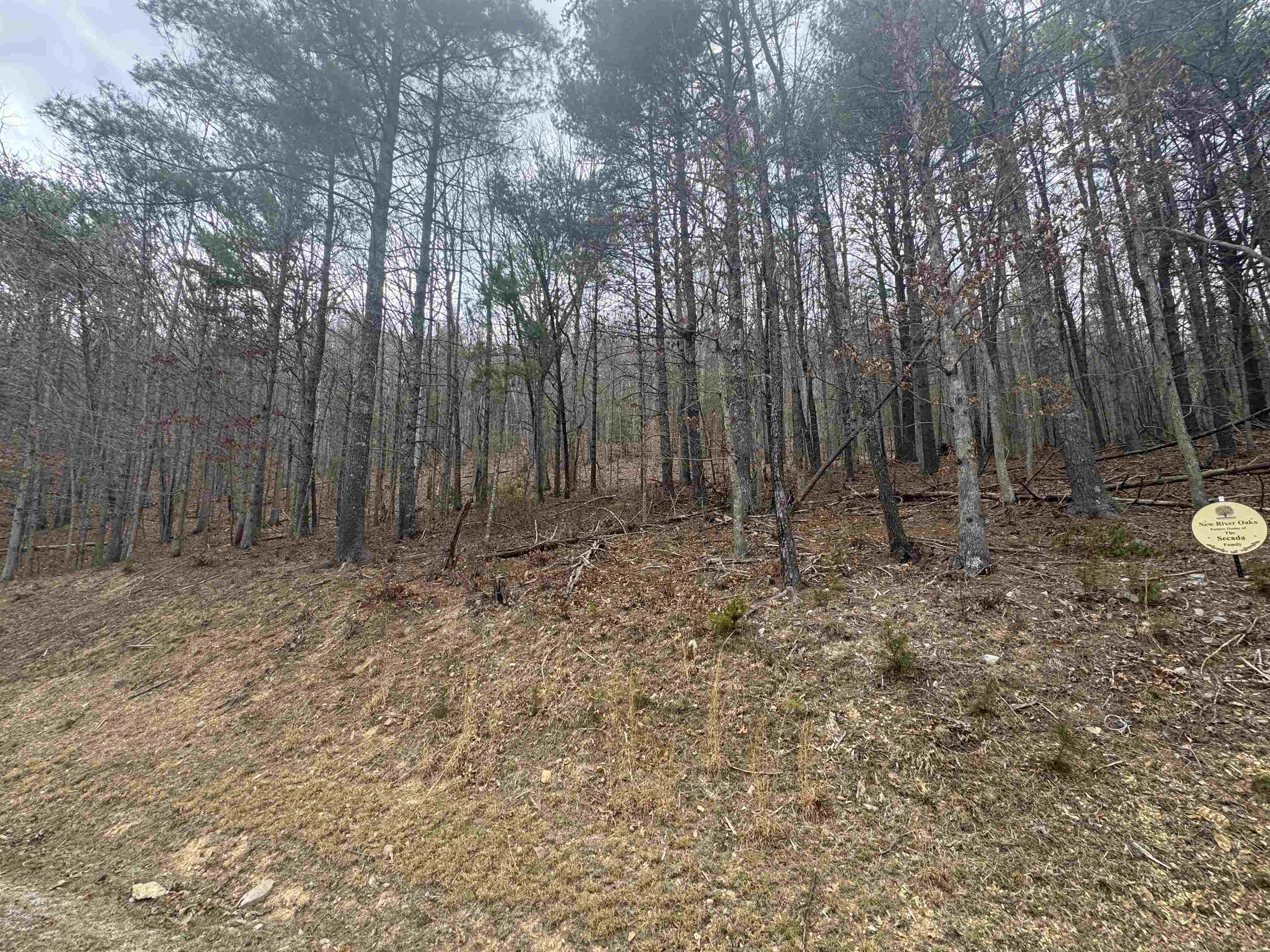Tbd River Oaks Drive Austinville VA 24312