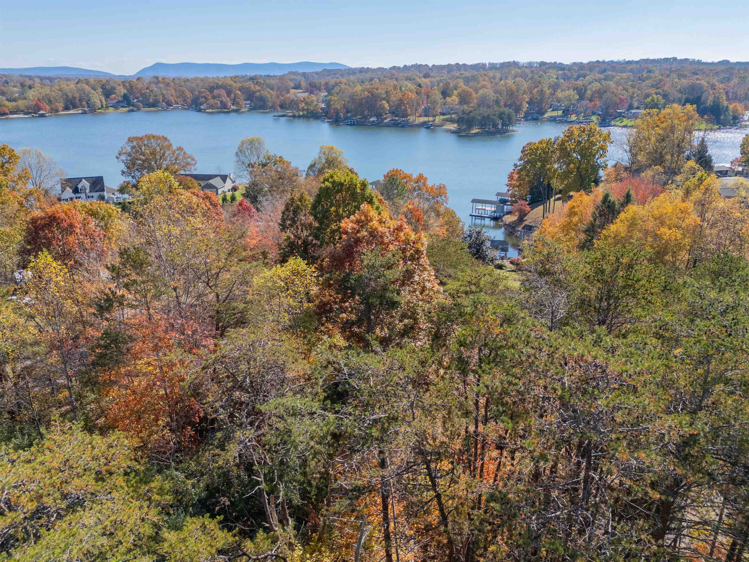 Tbd Lakewood Forest Road Moneta VA 24121