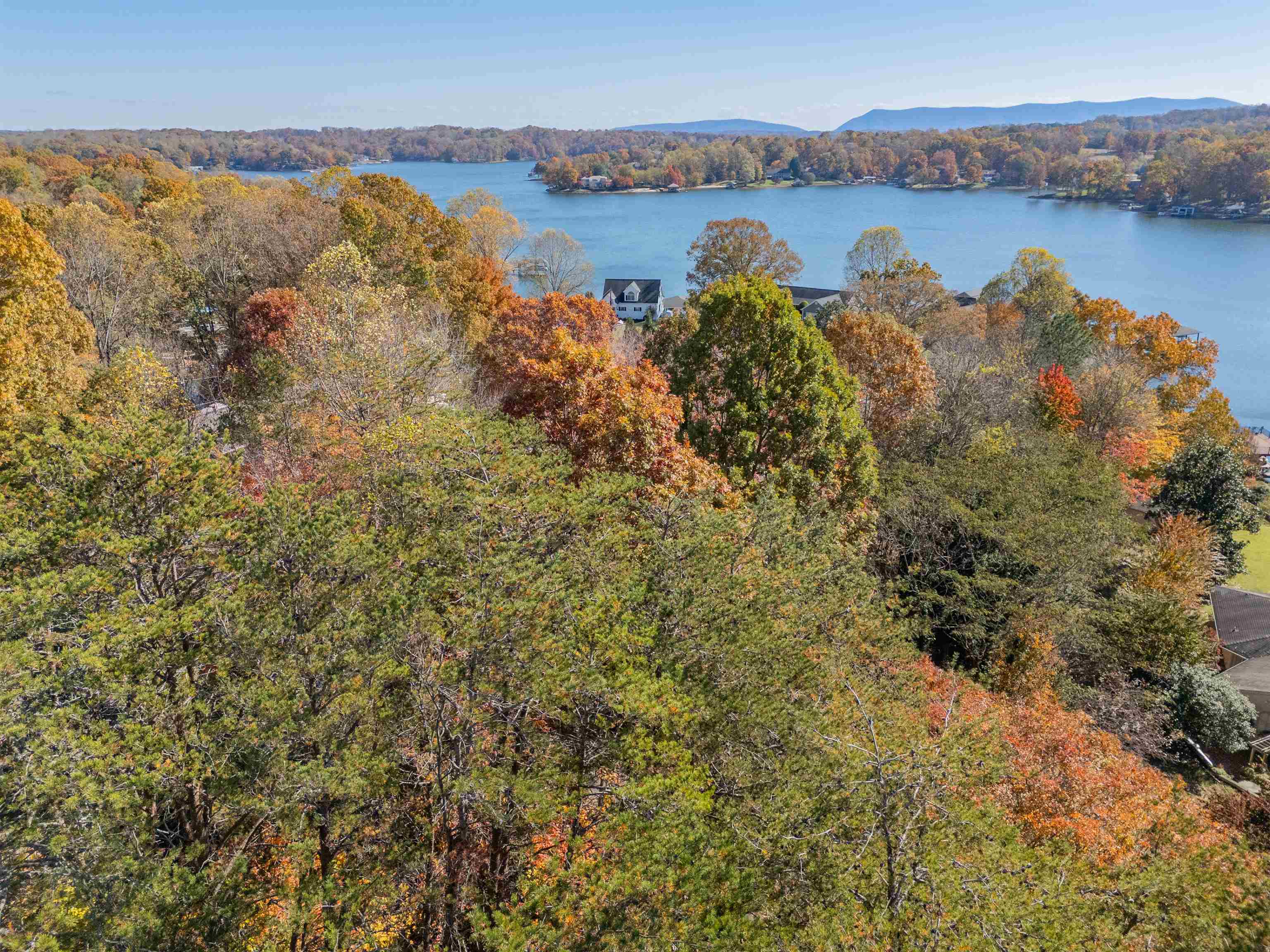 Tbd Lakewood Forest Road Moneta VA 24121
