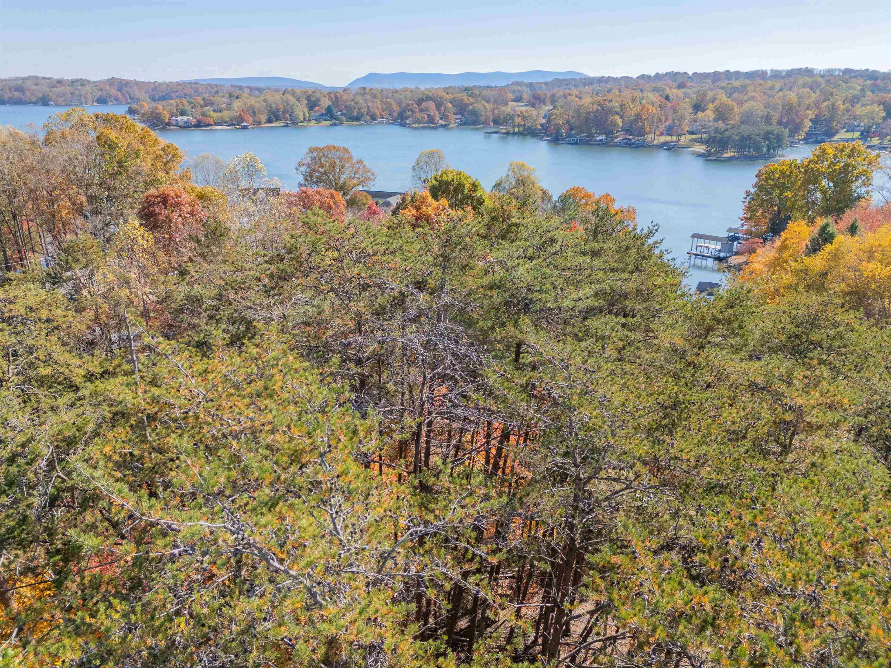 Tbd Lakewood Forest Road Moneta VA 24121