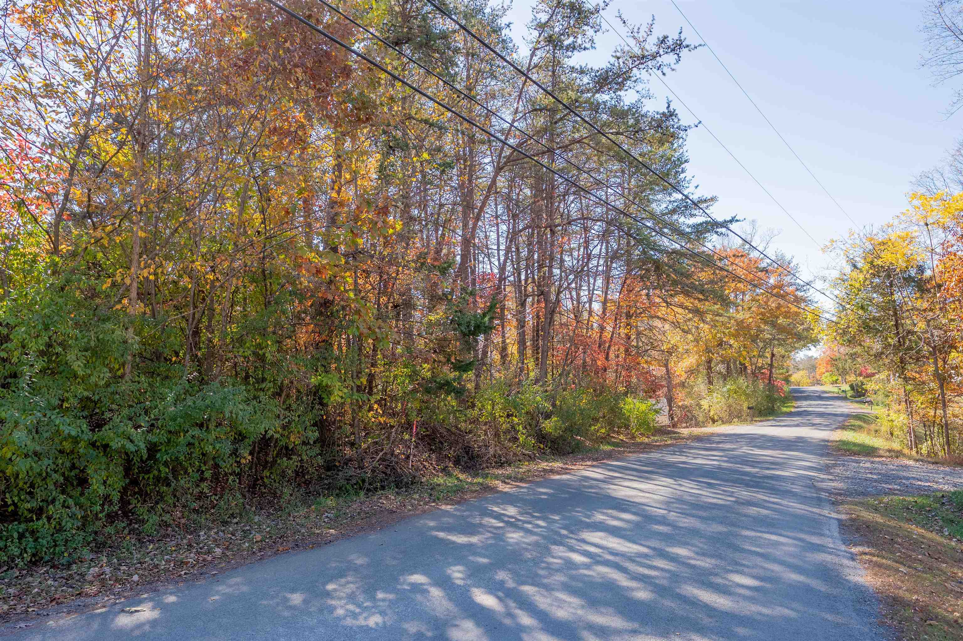 Tbd Lakewood Forest Road Moneta VA 24121