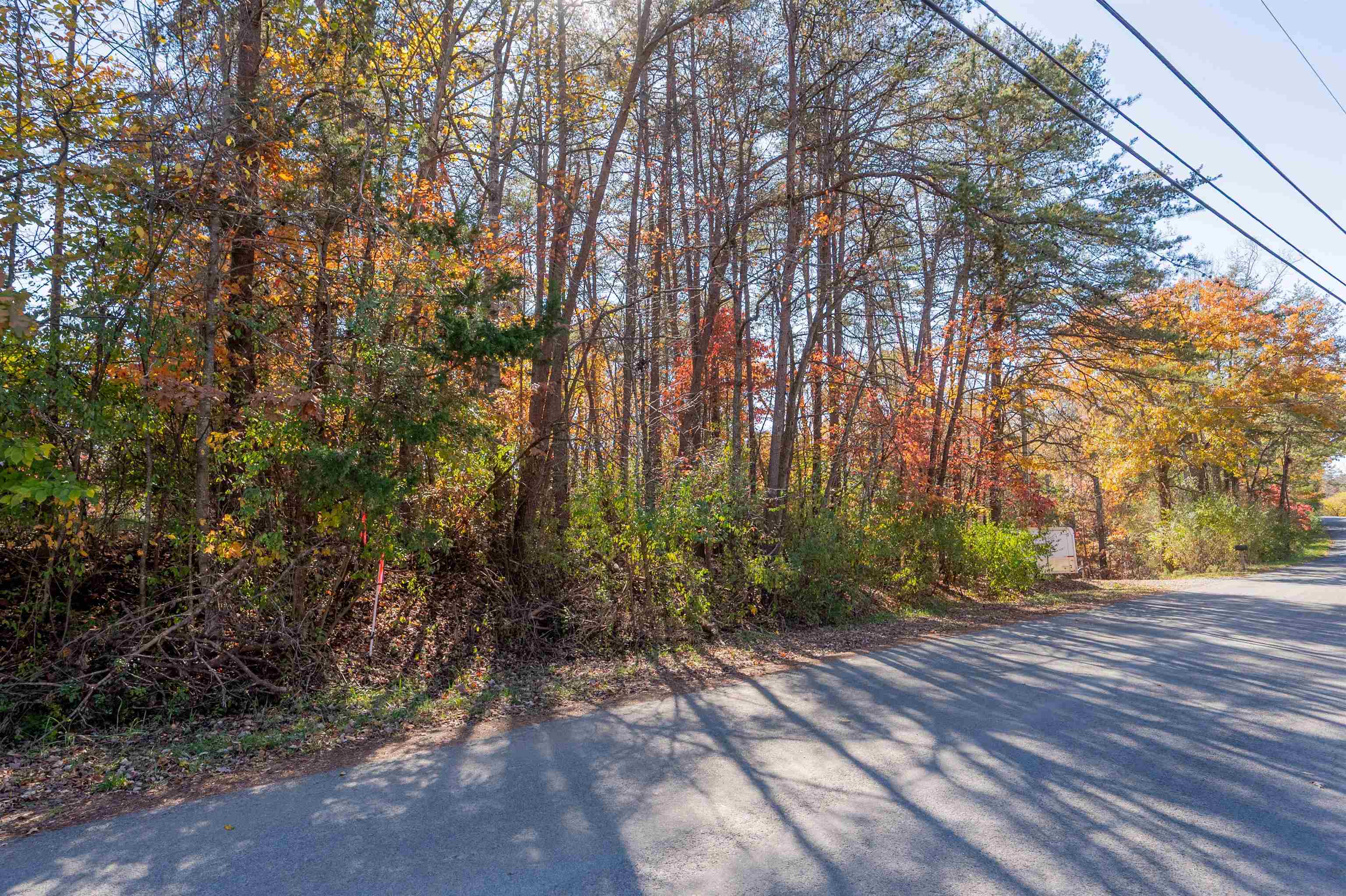 Tbd Lakewood Forest Road Moneta VA 24121
