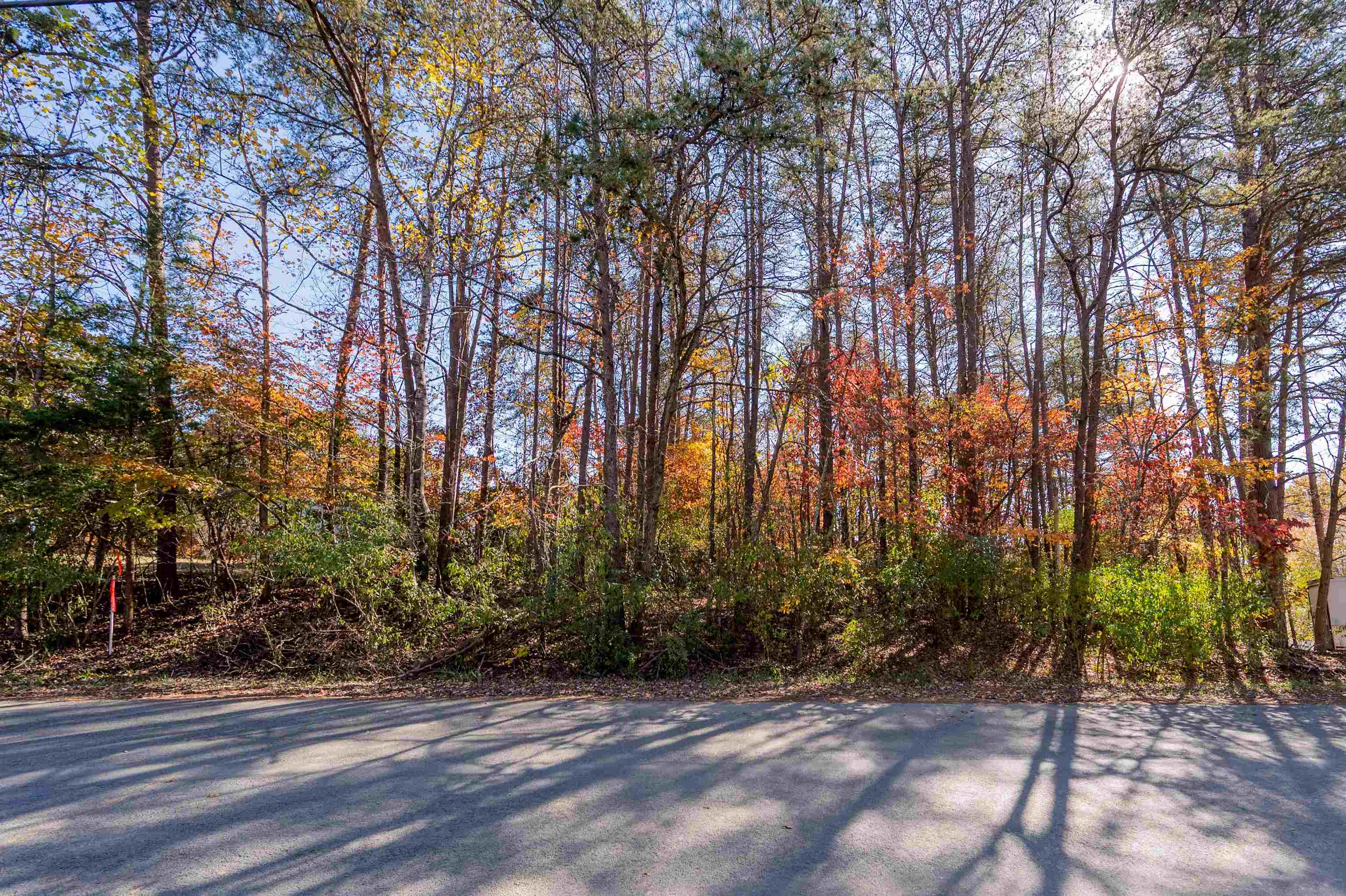 Tbd Lakewood Forest Road Moneta VA 24121