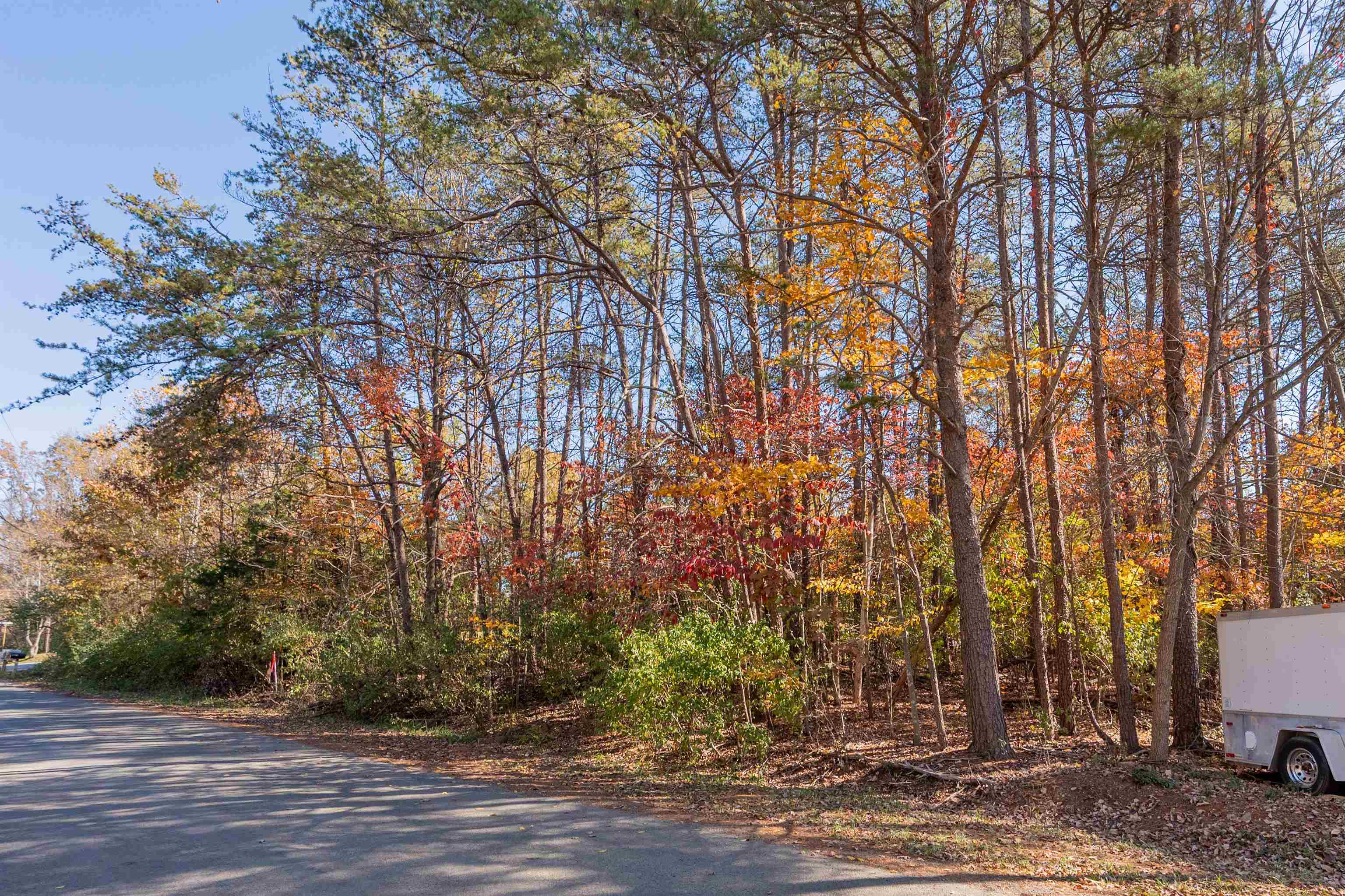 Tbd Lakewood Forest Road Moneta VA 24121